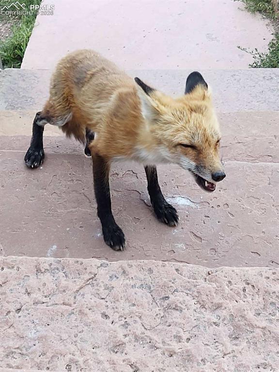 Image 38 of 44: Other