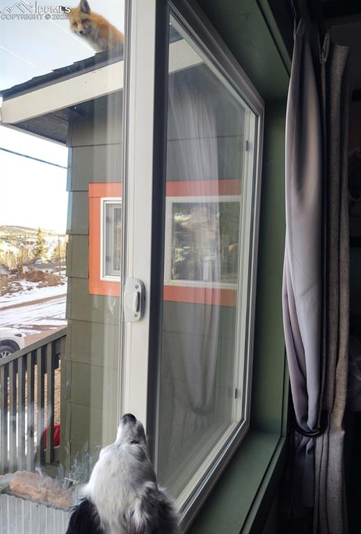 Image 40 of 44: The animal intrigue between domesticated and wildlife.