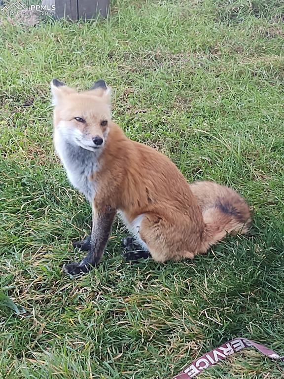 Image 41 of 44: Other