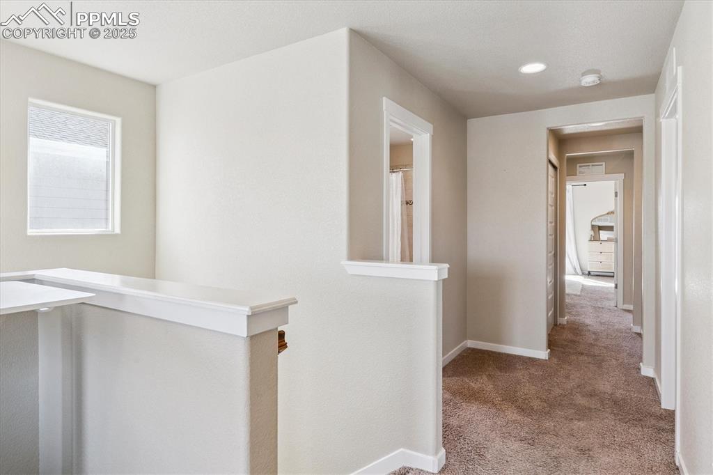 Image 23 of 50: Other