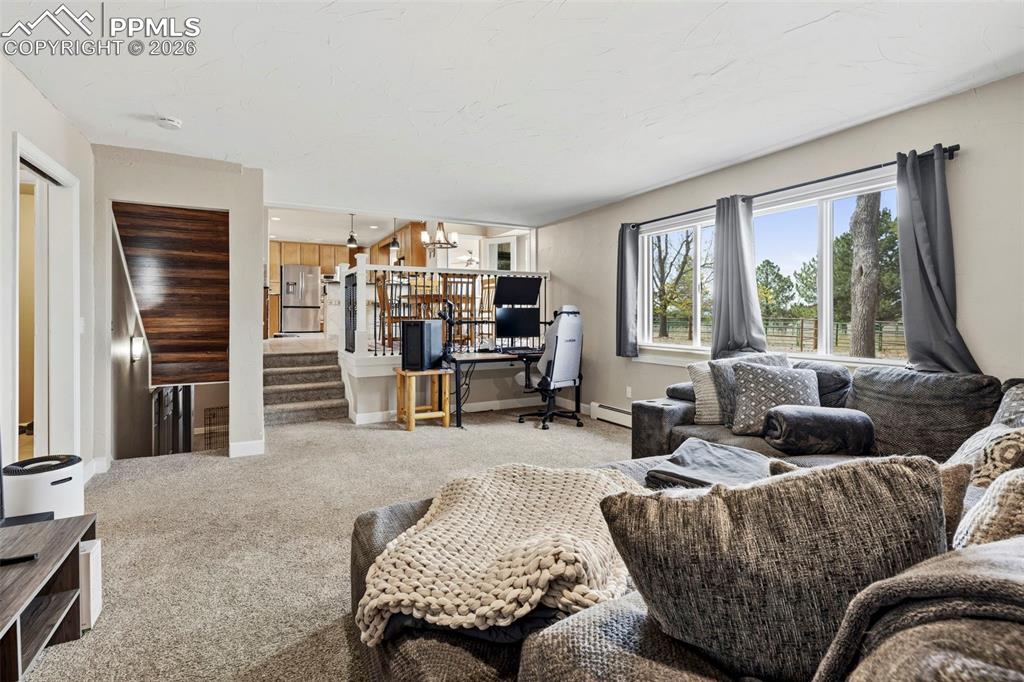 Image 16 of 47: Other