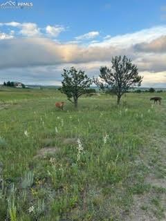 Image 49 of 49: Gorgeous Prairie view