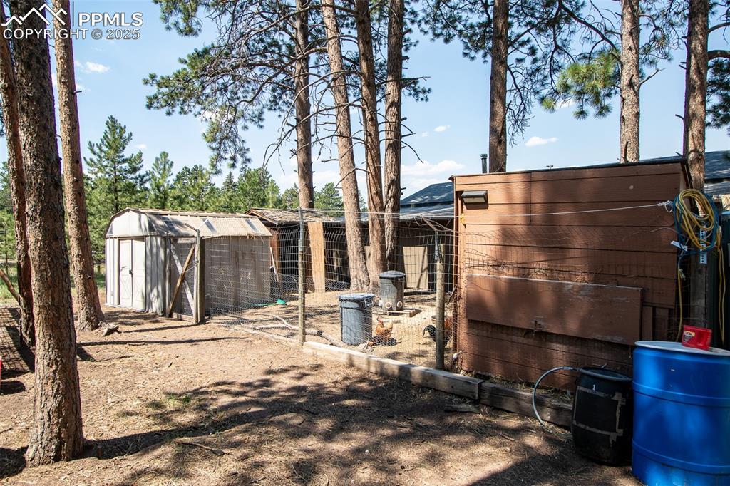 Image 28 of 29: Yard