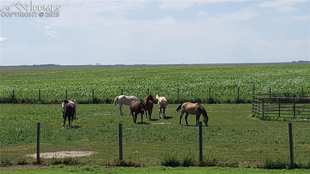 Image 37 of 48: Riding arena located South of the horse born includes a round pen for train