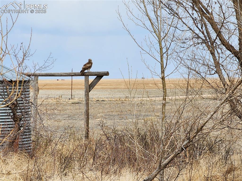 Image 46 of 48: Lots of wildlife. 