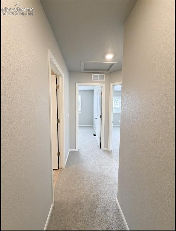 Image 8 of 24: Other