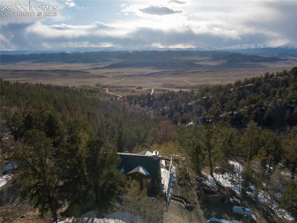 Image 5 of 48: Silver Hills and Buffalo Peaks!