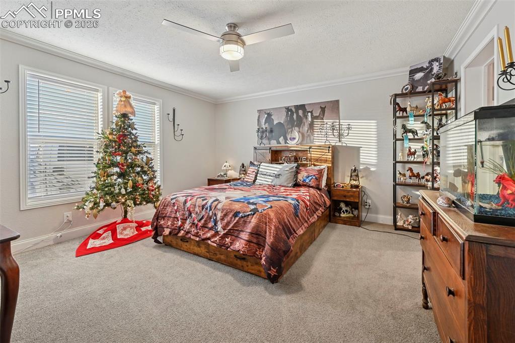 Image 12 of 22: Master Bedroom