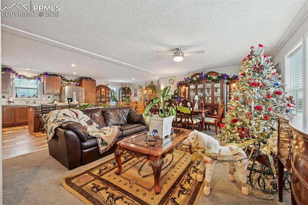 Image 4 of 22: Living Room