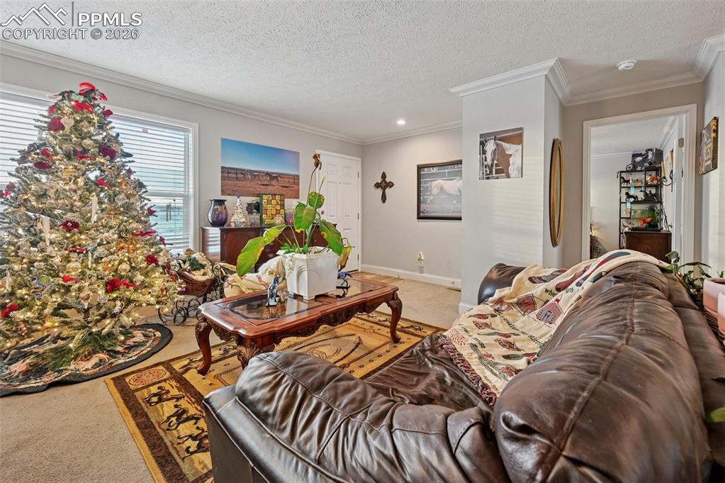 Image 5 of 22: Living Room