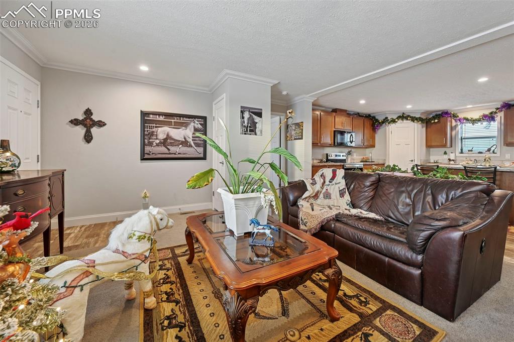 Image 8 of 22: Living Room