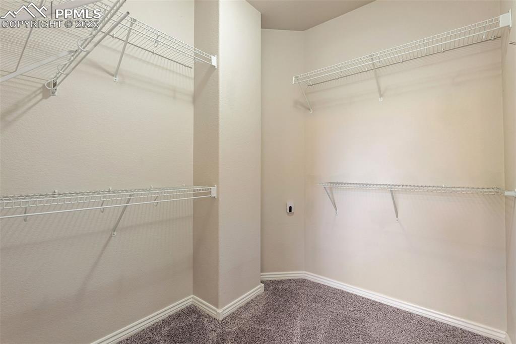 Image 20 of 50: Walk in closet featuring carpet flooring