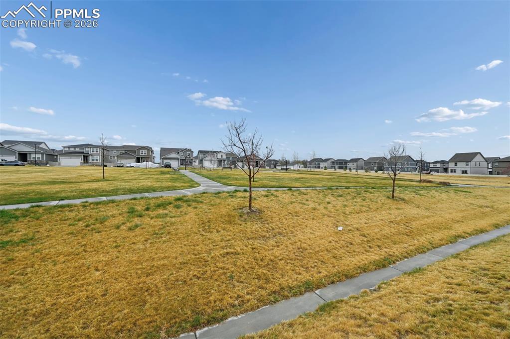 Image 41 of 42: Community