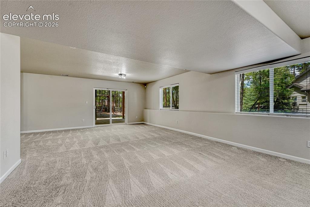 Image 36 of 49: Finished walk-out basement with above-grade windows.