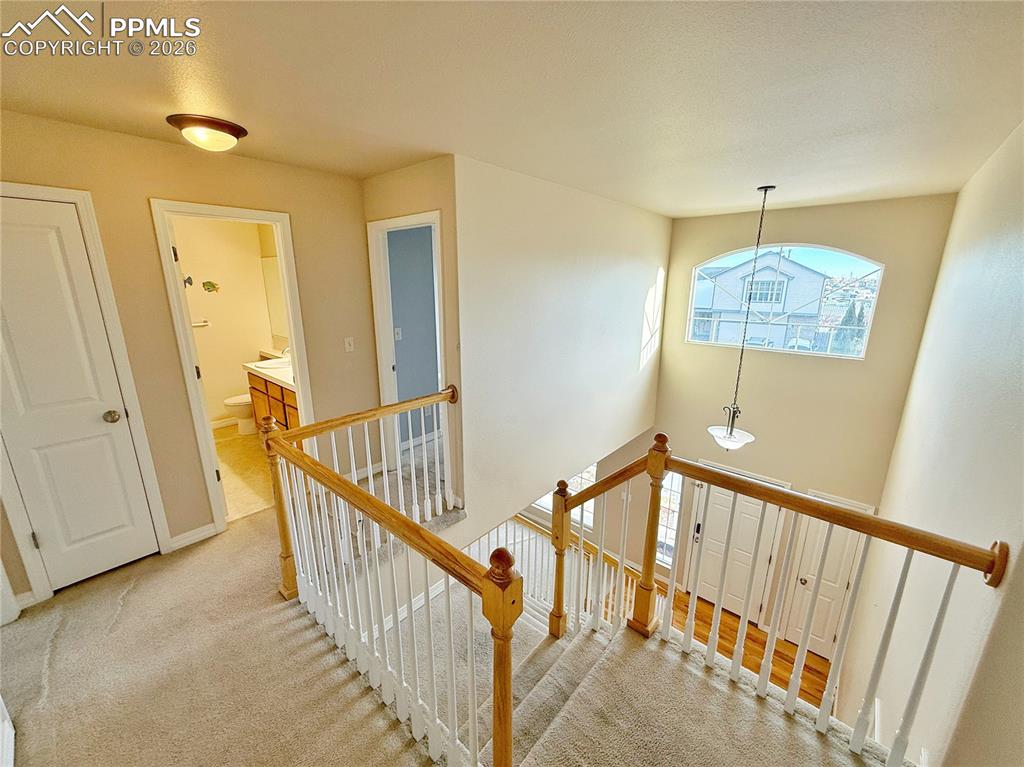 Image 11 of 28: Stairs featuring carpet flooring and baseboards