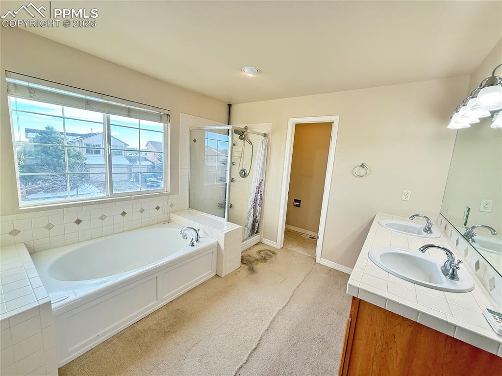 Image 14 of 28: Master bathroom