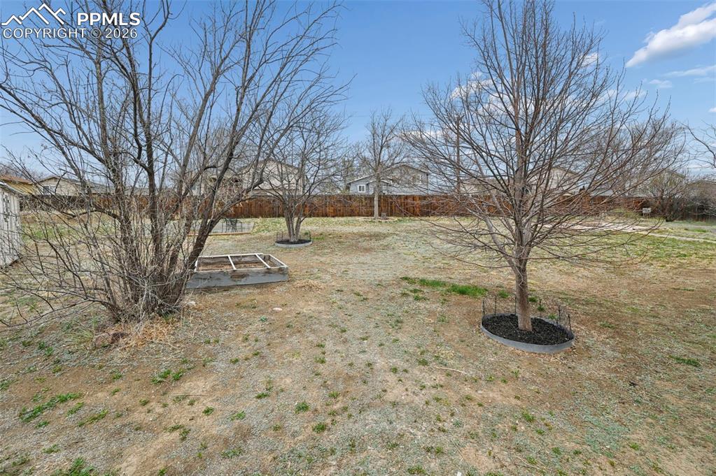 Image 37 of 46: Yard