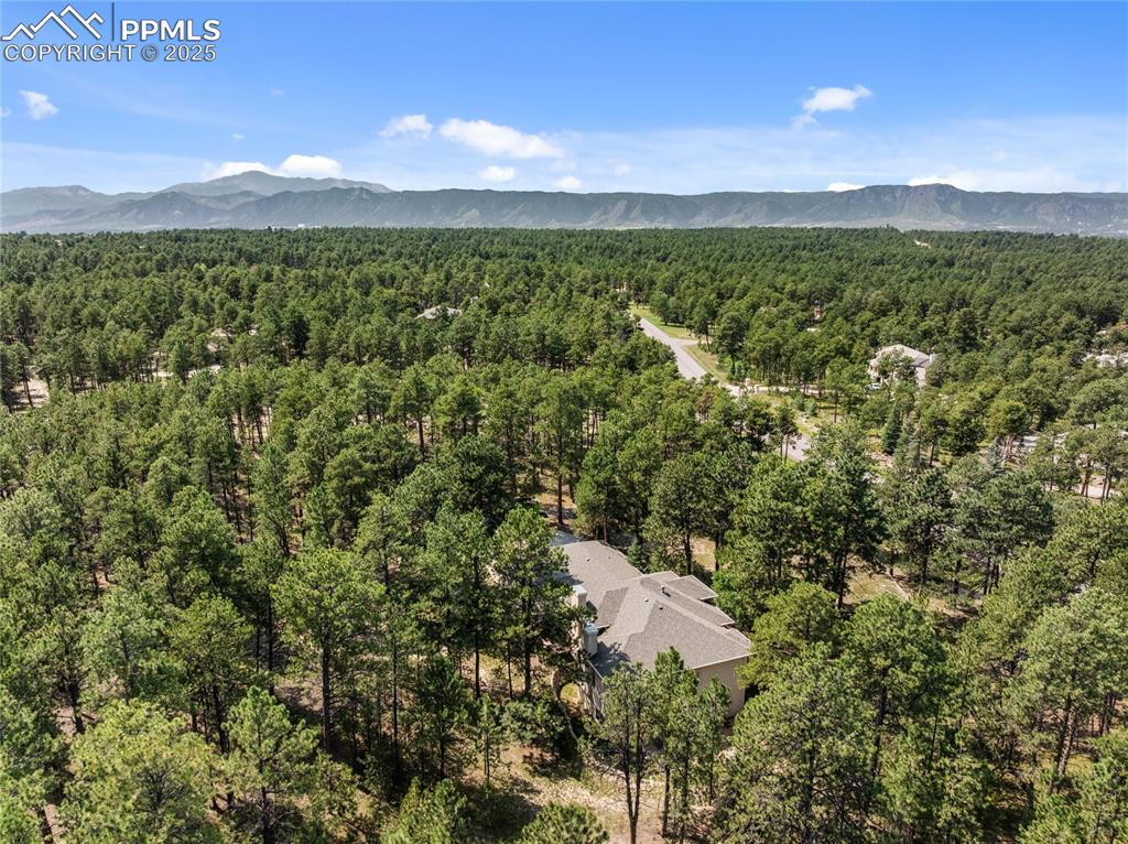 Image 4 of 46: The pines are plentiful and relaxing!