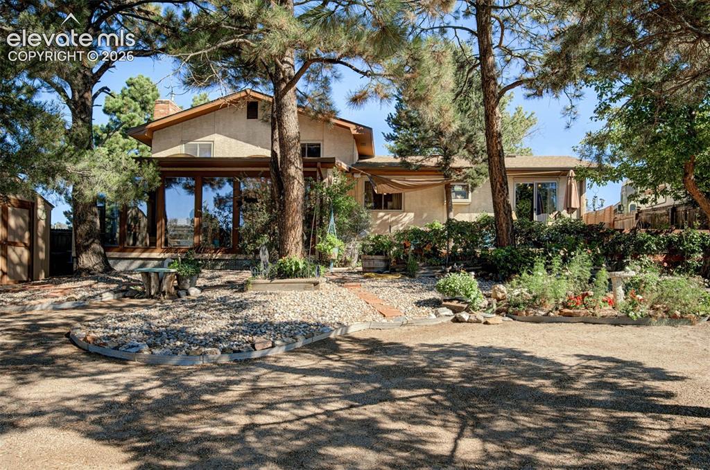 Image 30 of 45: Terraced landscaping with mature trees and a gravel pathway
