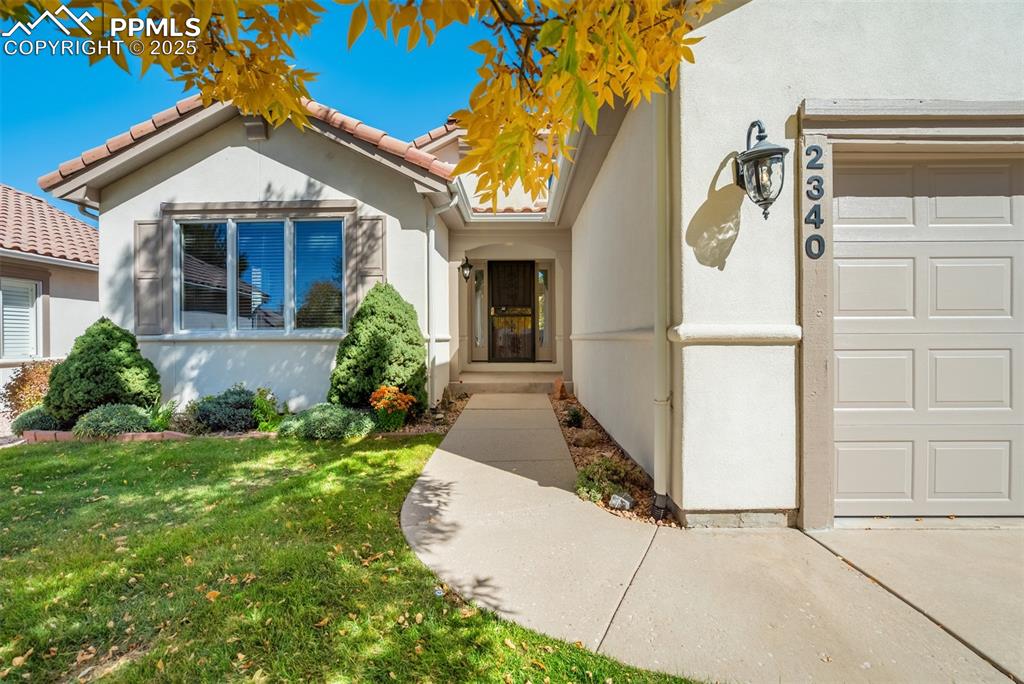 Image 44 of 46: Entry