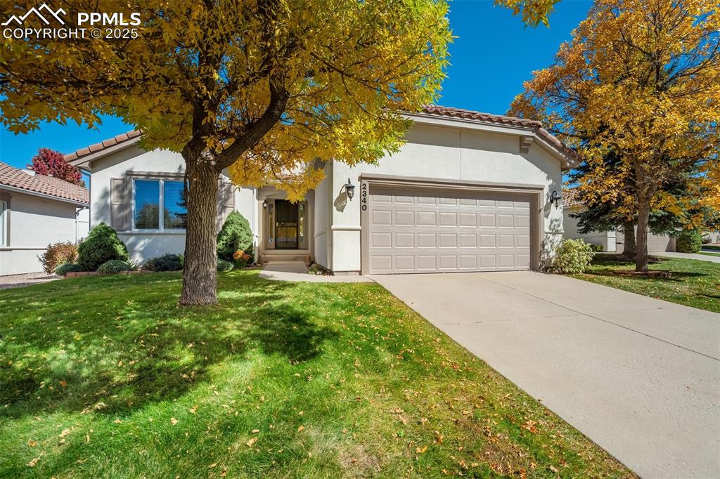 Image 45 of 46: Front of Structure