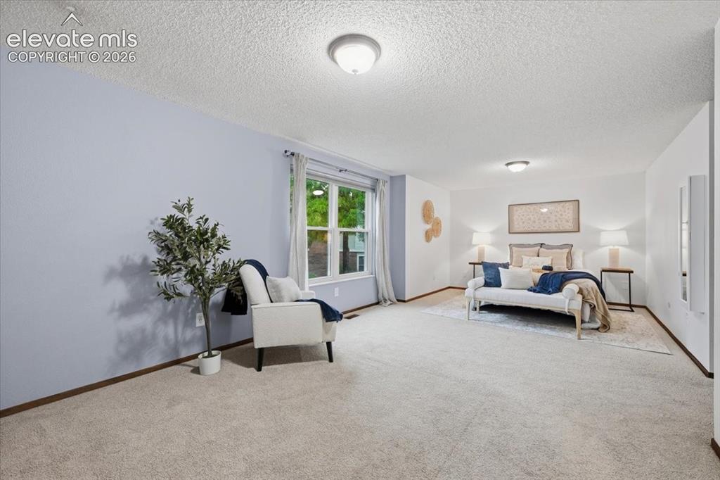 Image 24 of 50: Light-toned wall finishes, expansive room, and a large window providing amp