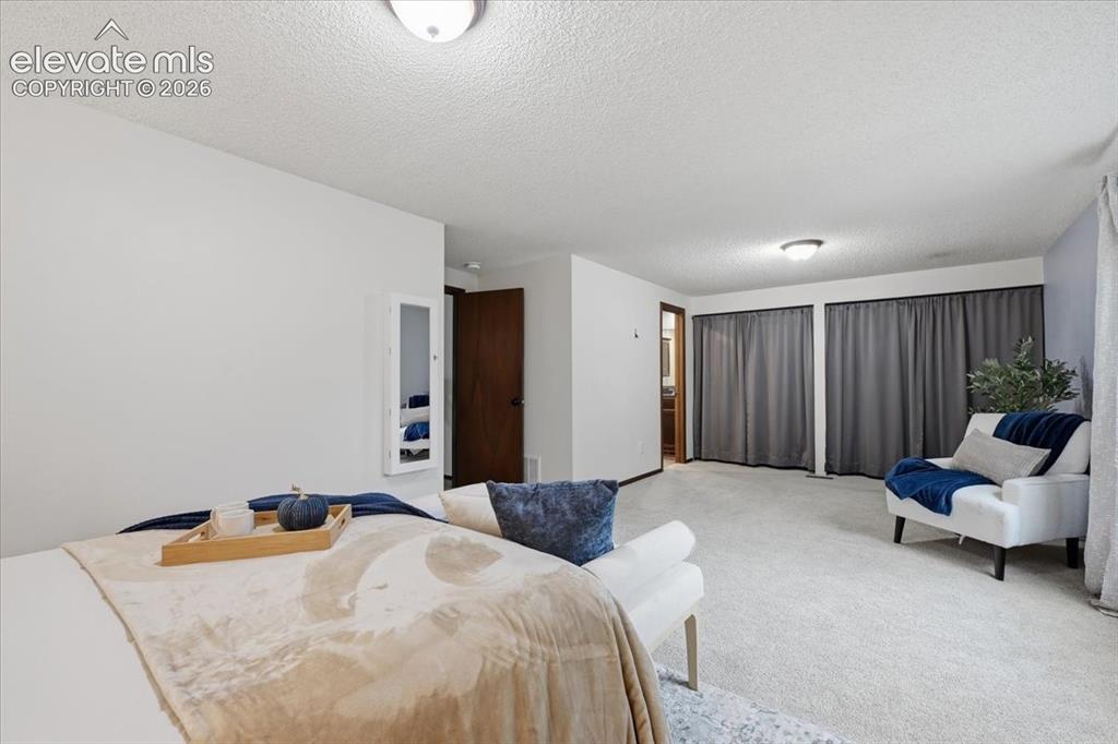 Image 26 of 50: Wall-to-wall carpeting with flush mounted ceiling lights, a wall mounted je