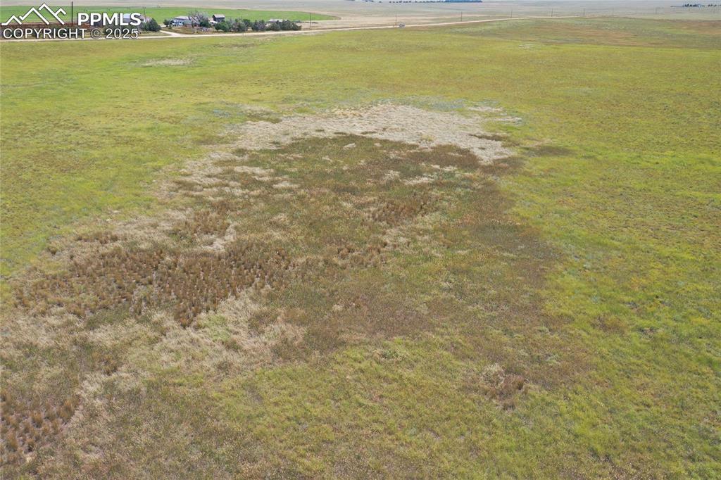 Image 11 of 15: Yard