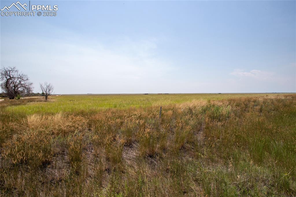 Image 13 of 15: Other