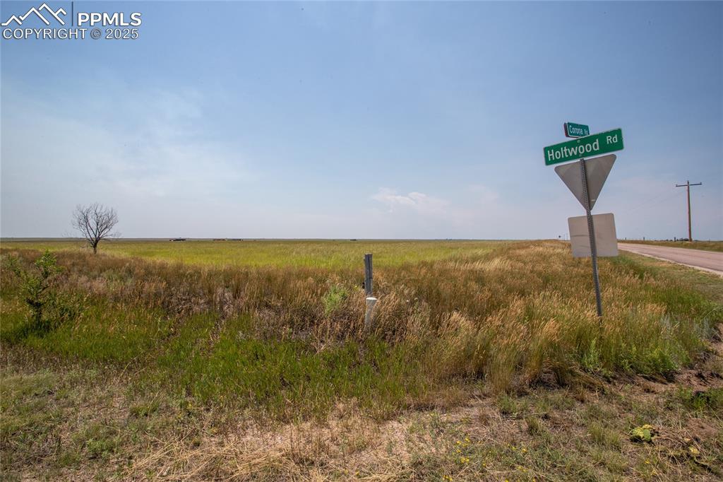 Image 14 of 15: Other