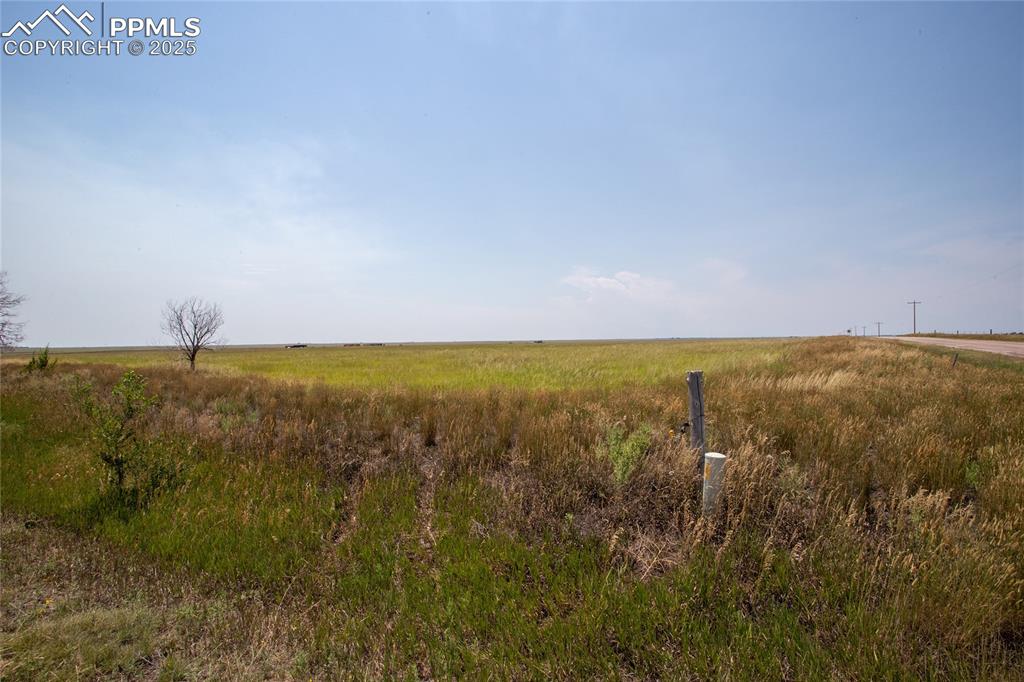 Image 15 of 15: Other