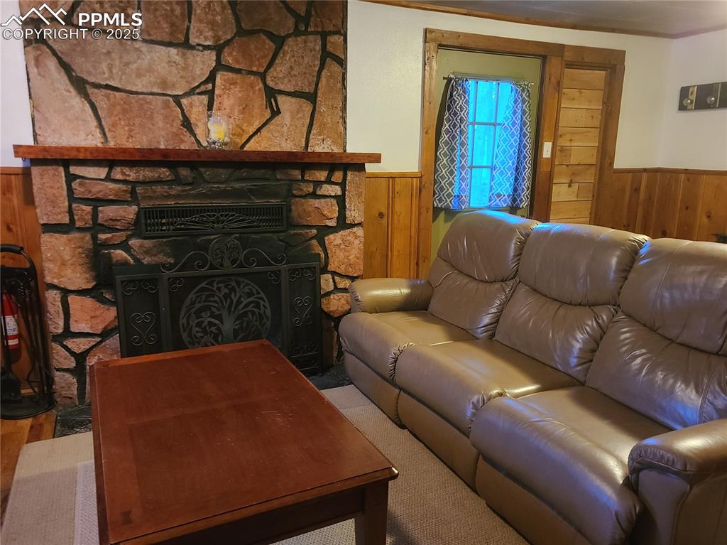 Image 18 of 20: Living room with wooden walls, a wainscoted wall, a fireplace, and carpet