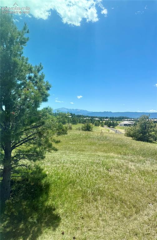 Image 2 of 43: View