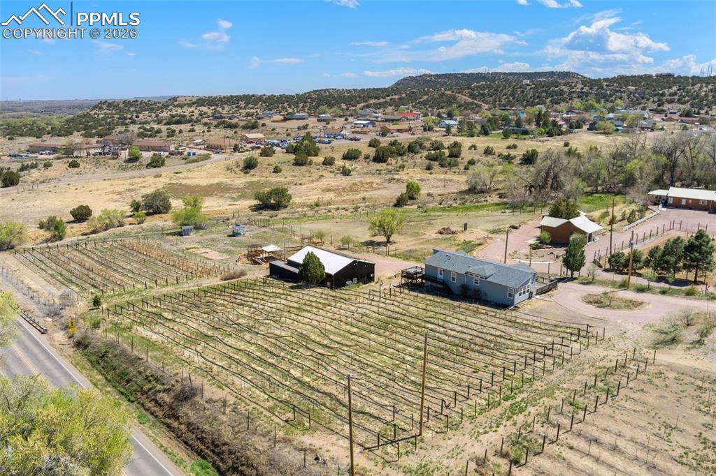 Image 7 of 50: Aerial View