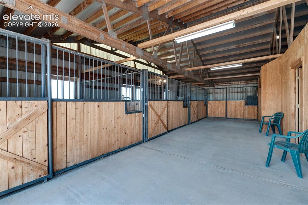 Image 41 of 49: Stable
