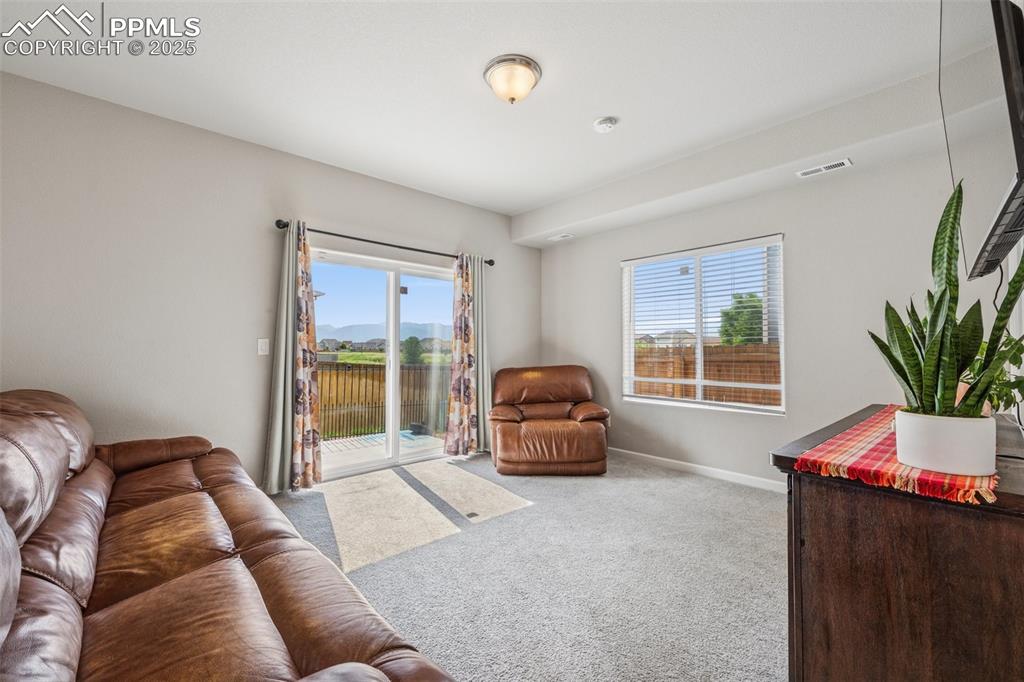 Image 19 of 30: Lower Level Family Room with walk out