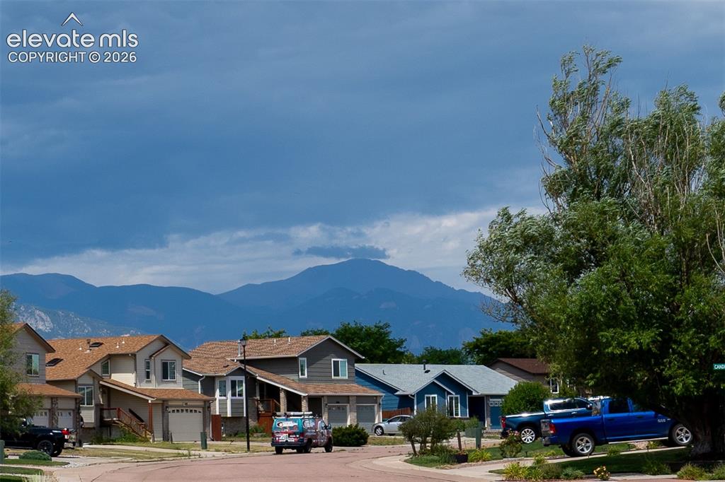 Image 42 of 46: View