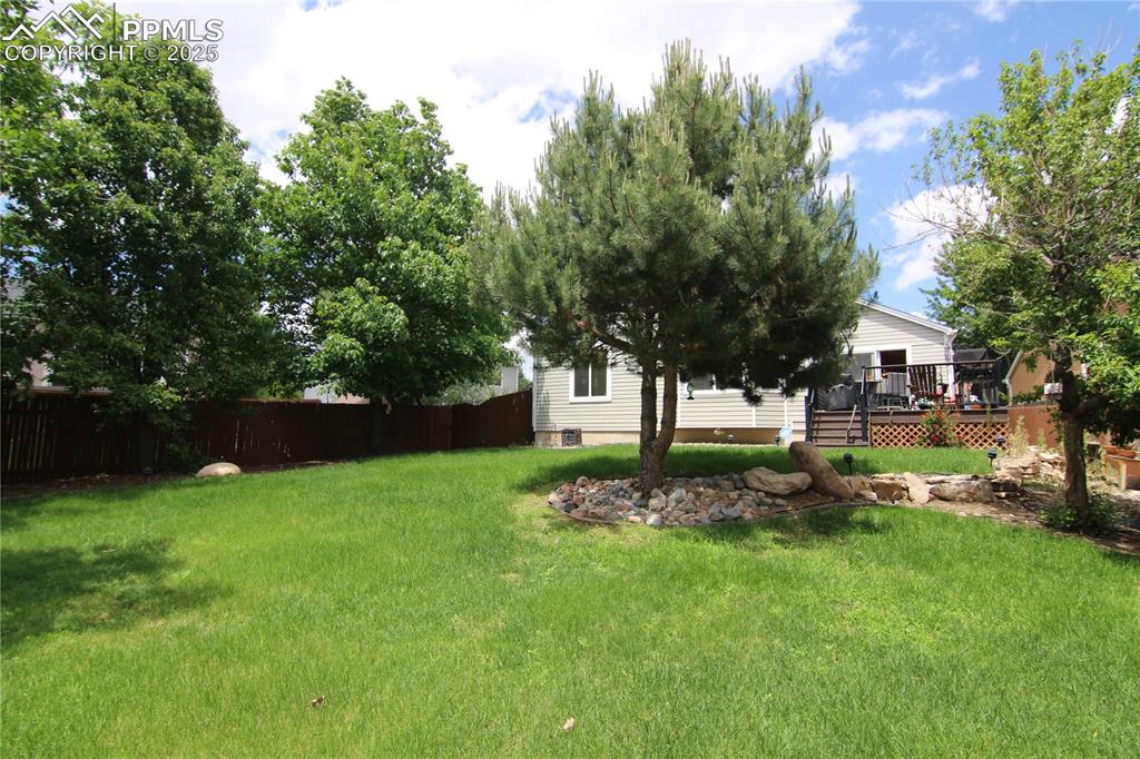 Image 2 of 23: Yard
