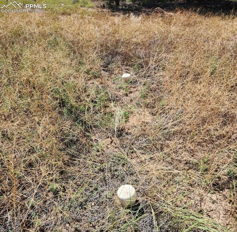 Image 11 of 18: Other