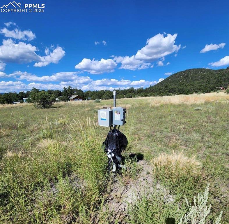 Image 12 of 18: Other