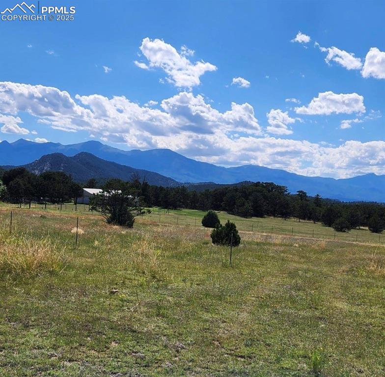 Image 13 of 18: View