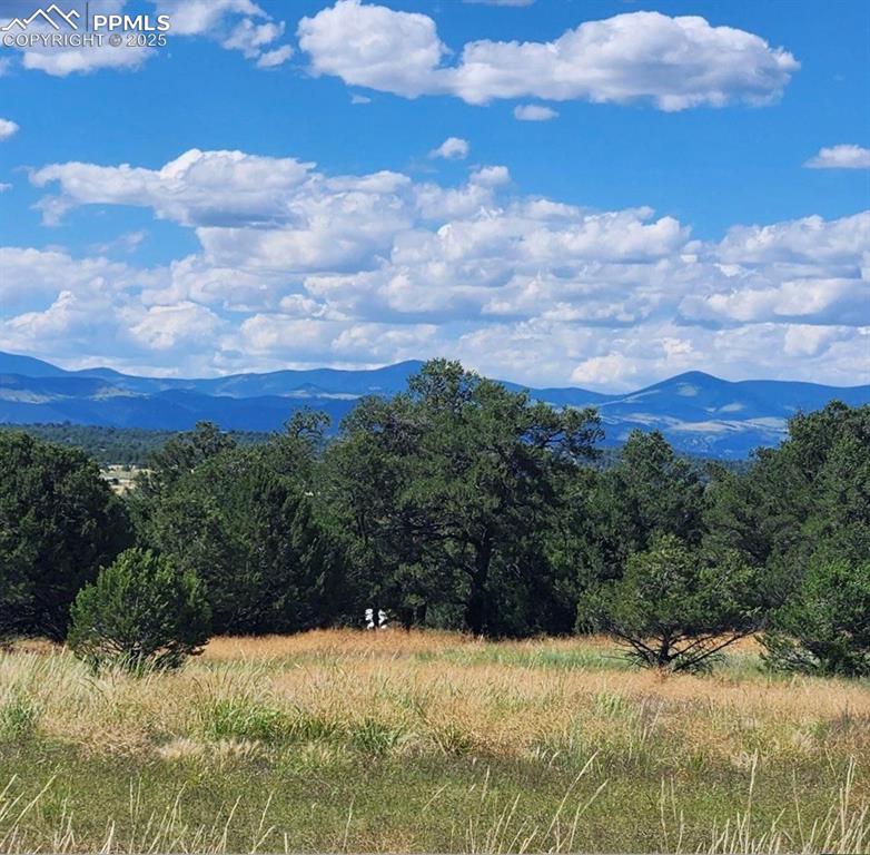 Image 15 of 18: View