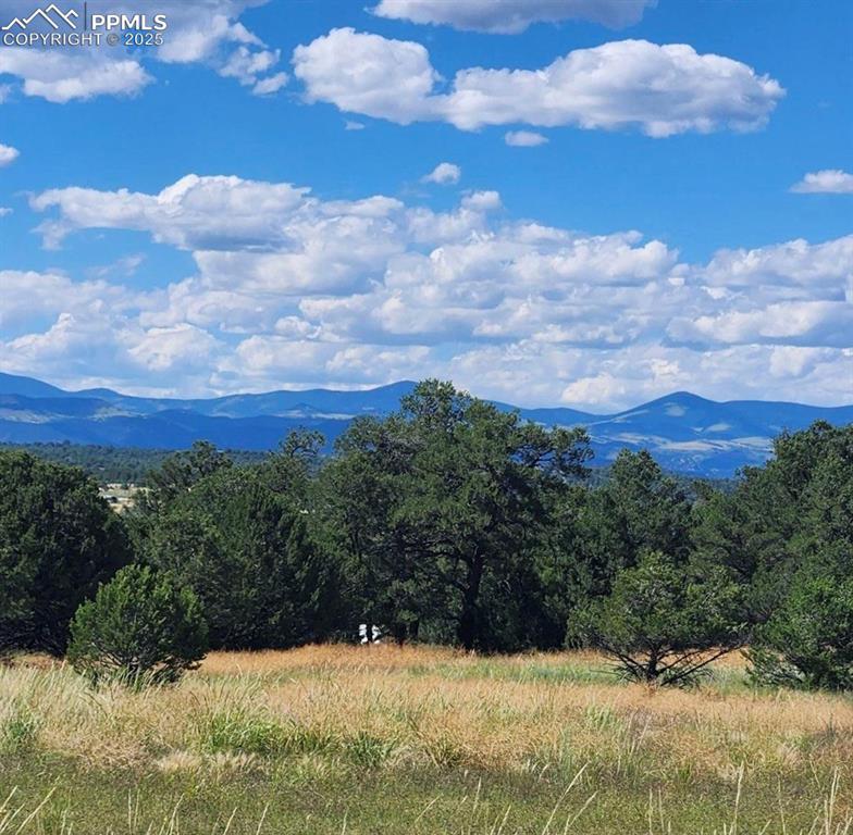 Image 17 of 18: View