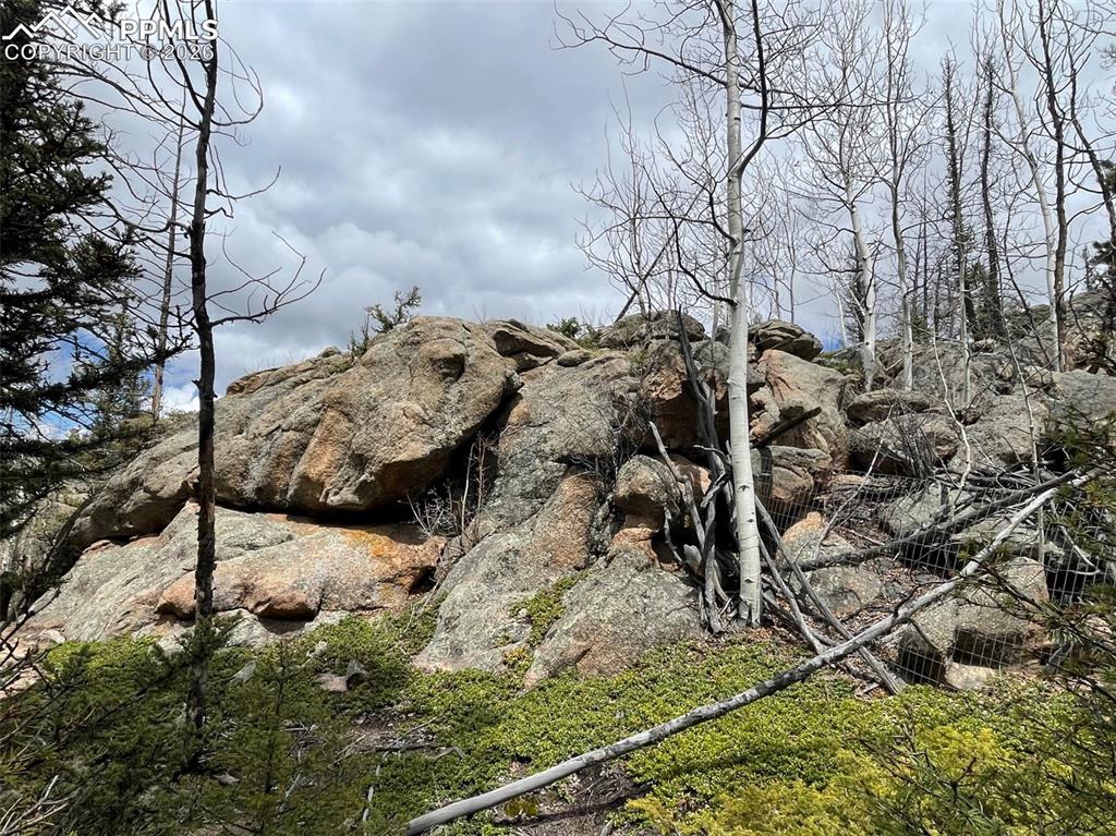 Image 10 of 23: Other