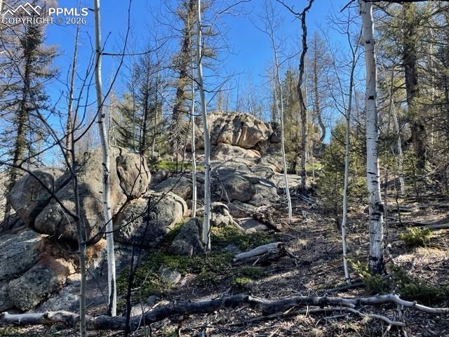 Image 11 of 23: Other