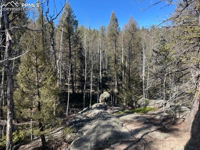 Image 12 of 23: Other