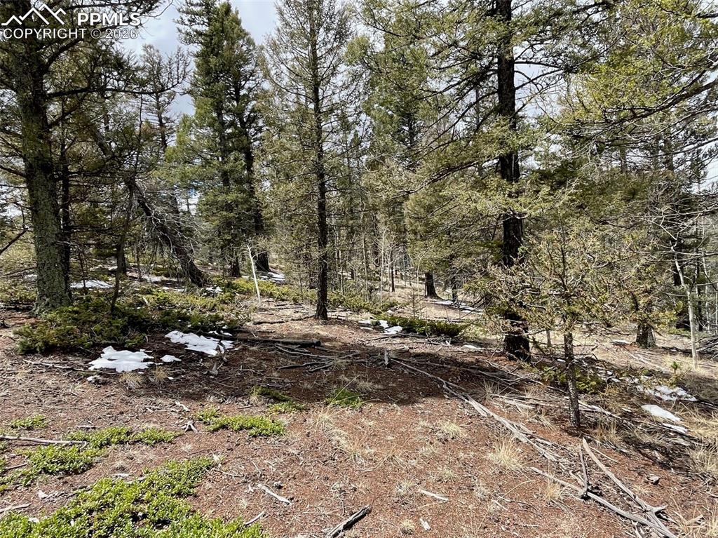 Image 13 of 23: Other