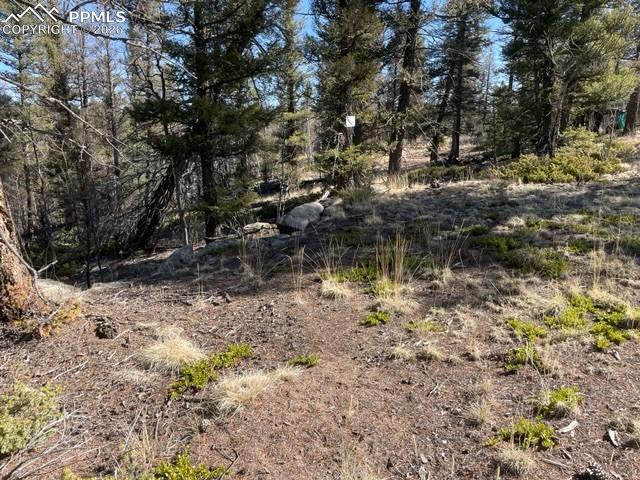 Image 14 of 23: Other