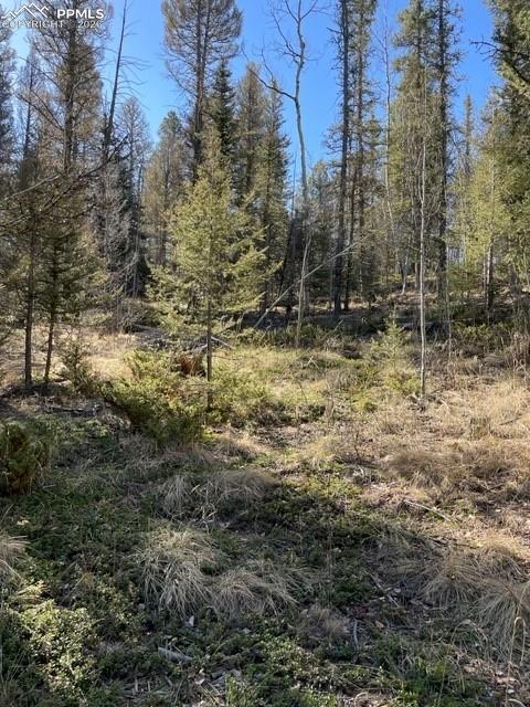 Image 15 of 23: Other