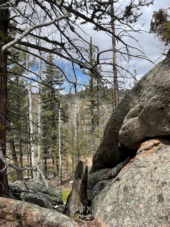 Image 16 of 23: Other